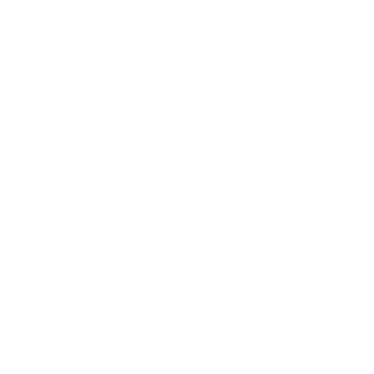 EXECUTING-white-01-01